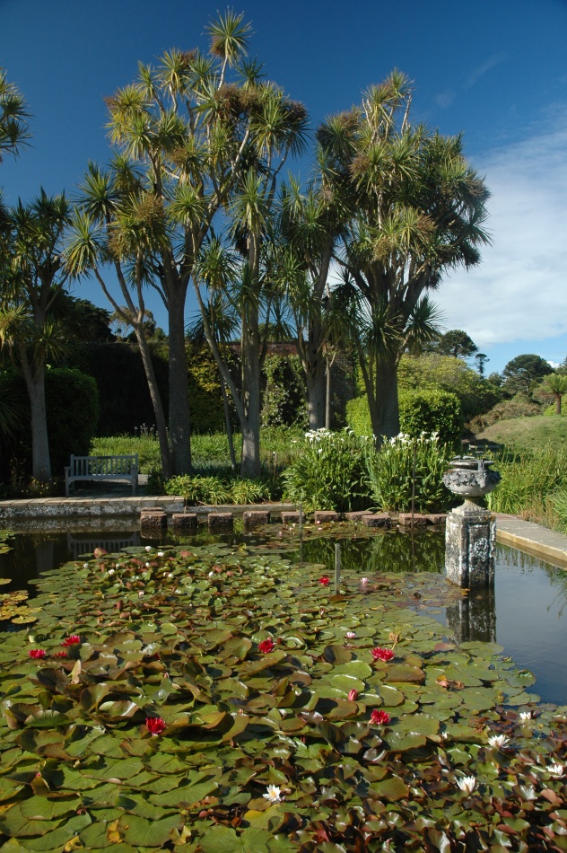 Discovering Scotland's most exotic garden - Logan Botanic Garden