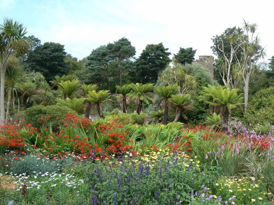 Discovering Scotland's most exotic garden - Logan Botanic Garden