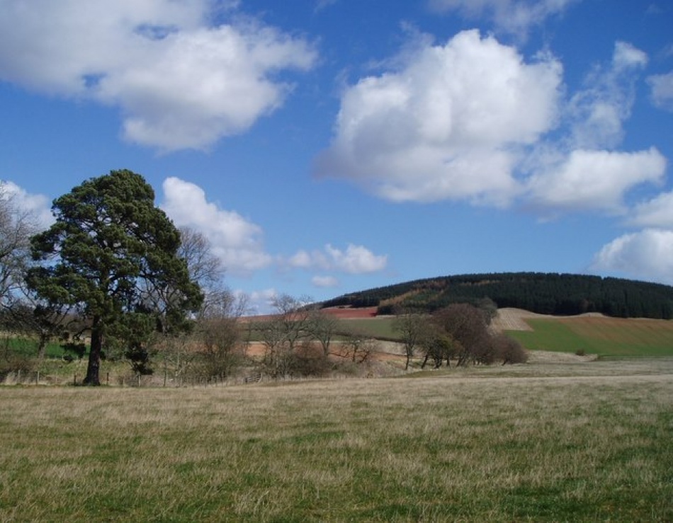 Picturesque village life in the Borders - Feature Property