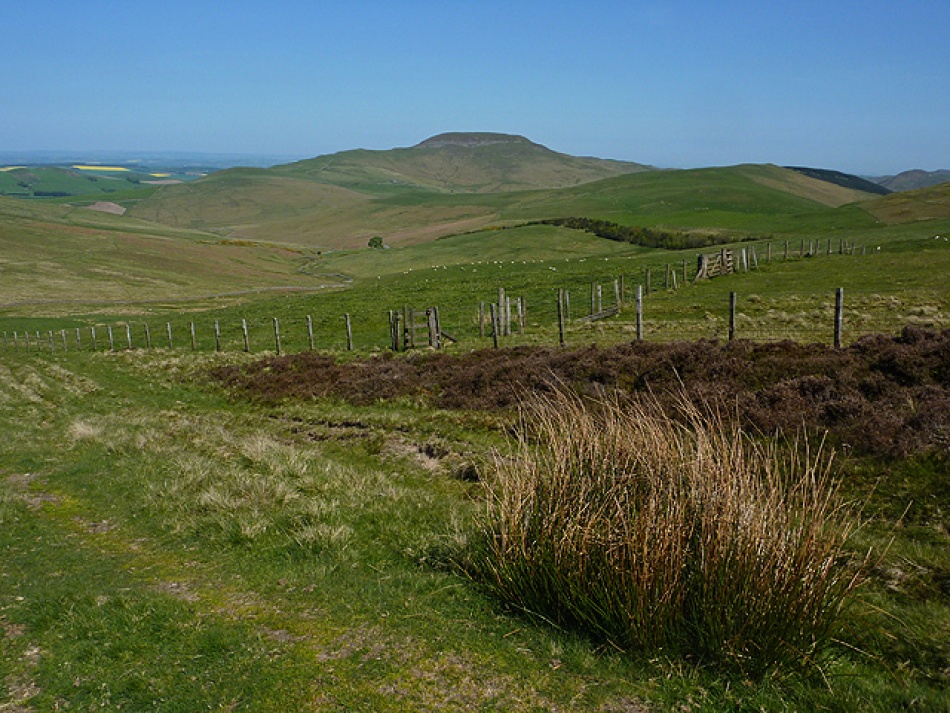 Picturesque village life in the Borders - Feature Property